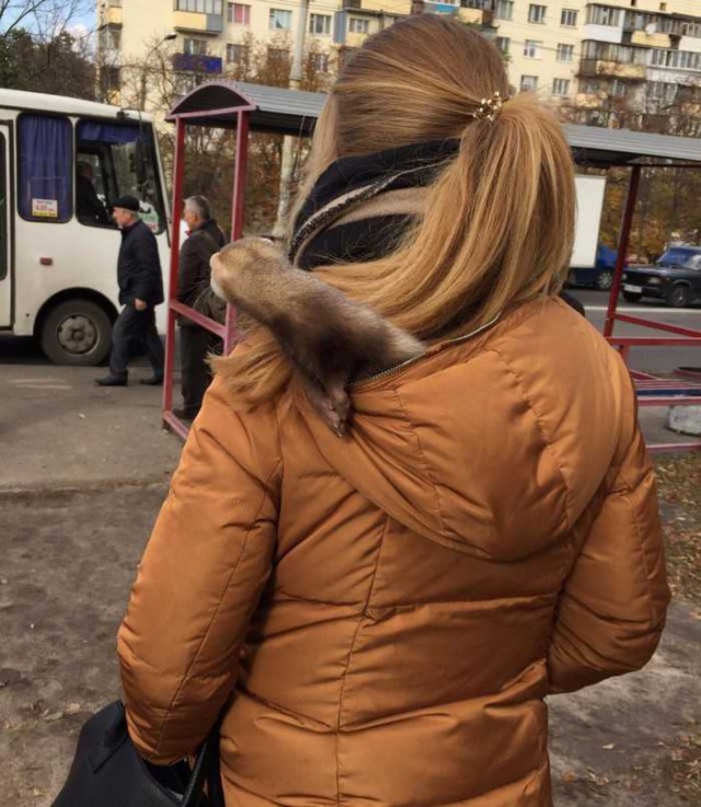 Соцсети - и смех и грех