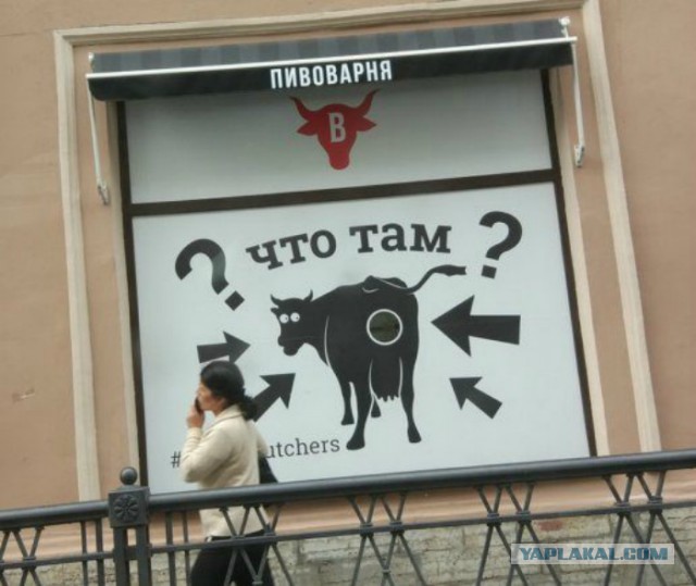 Подборка интересных и веселых картинок