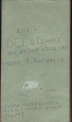 Все о слонах