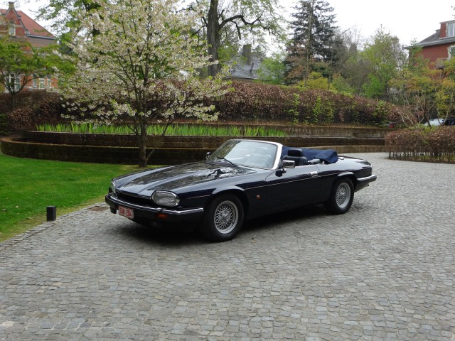 Jaguar. Красивых автофото пост