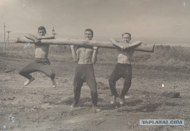 Армейский юмор, суровый и беспощадный