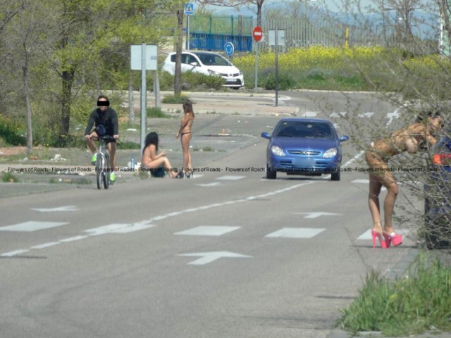 Дамы легкого поведения
