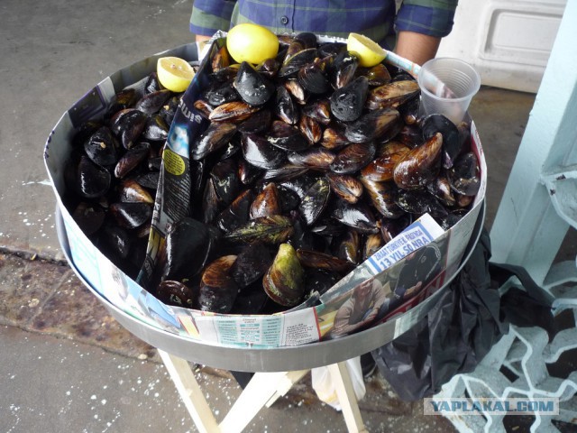 Лично мне не нужен берег турецкий