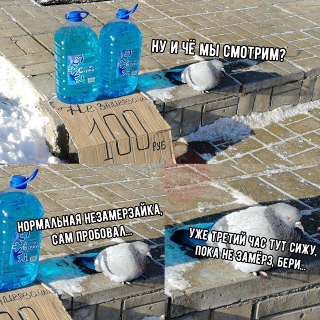 Нестандартный юмор