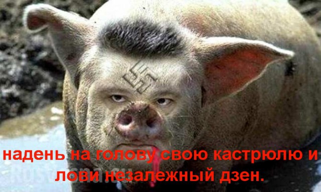 Россия дорого за это заплатит...