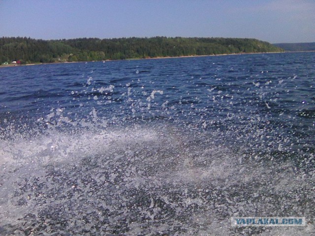 Командировка. В леса