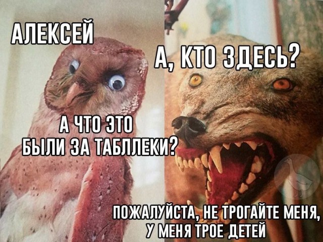 Прикольные картинки