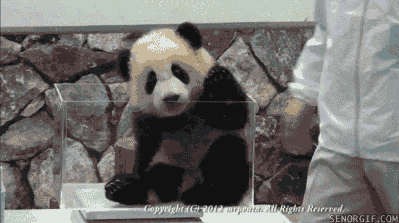 Ой, извините... я такой неуклюжий!