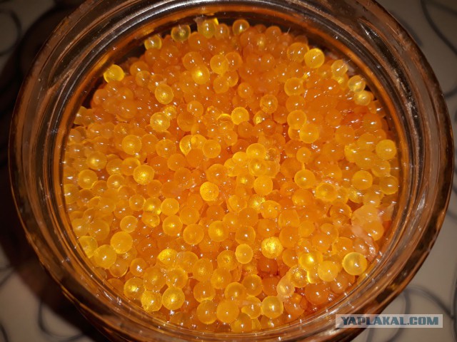 Кулинарная общалка