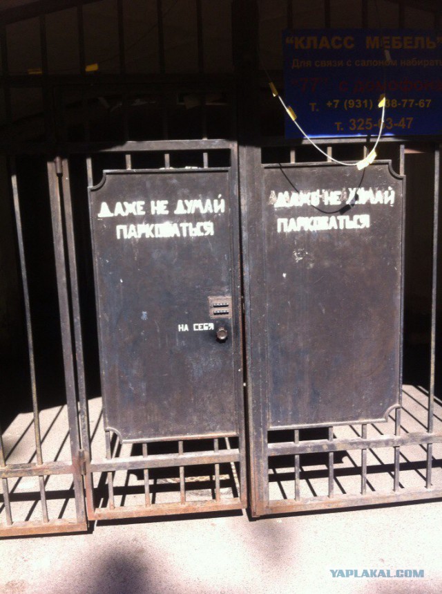 Это Питер, детка!