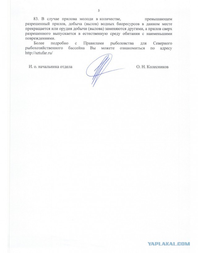 Нууу... За рыбалку! Не чокаясь