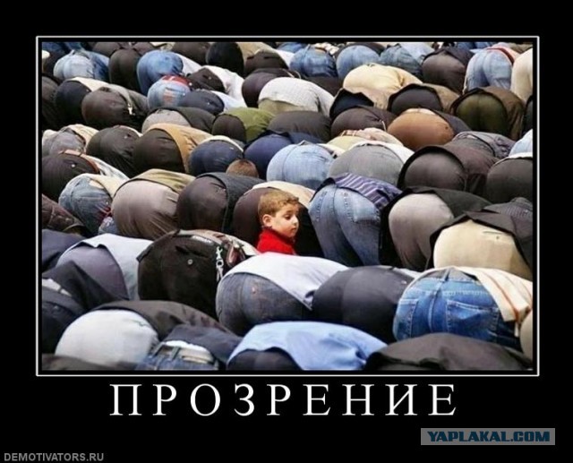 Чуток картинок (финал)