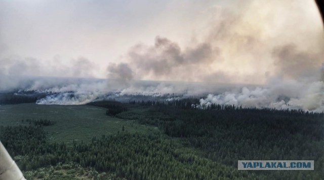 Минобороны направило в Красноярский край авиагруппировку для тушения пожаров