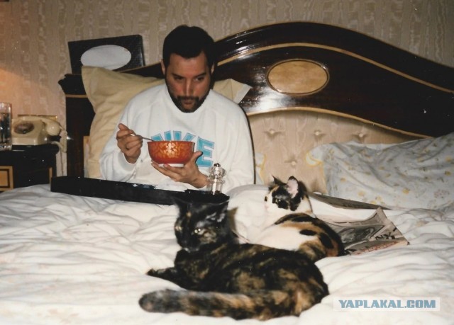 Неизвестные фотографии знаменитостей