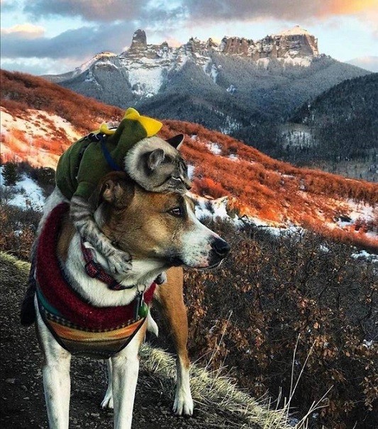 40 разных картинок. 24.10.2019