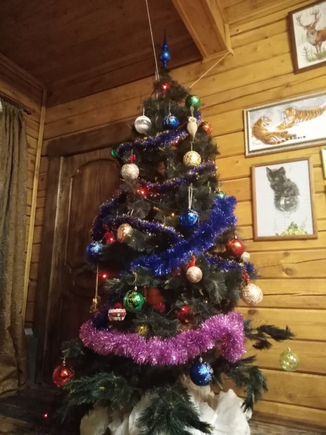 Хвастаемся своими елками!