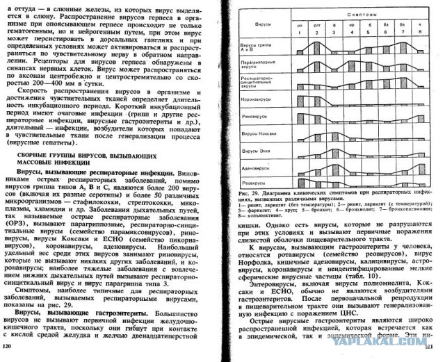 Самый лучший совет что делать во время карантина
