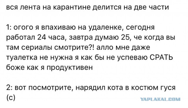 Как все будет происходить?