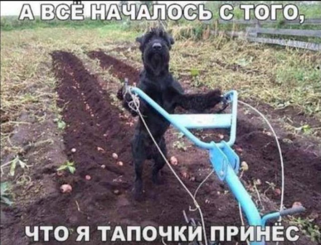 Так себе картинки #15