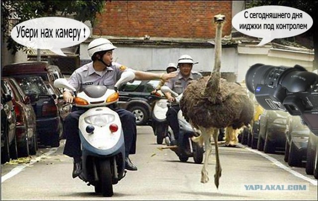 Фотожаба на пятницу