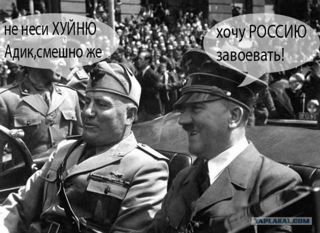 Я несу хуйню
