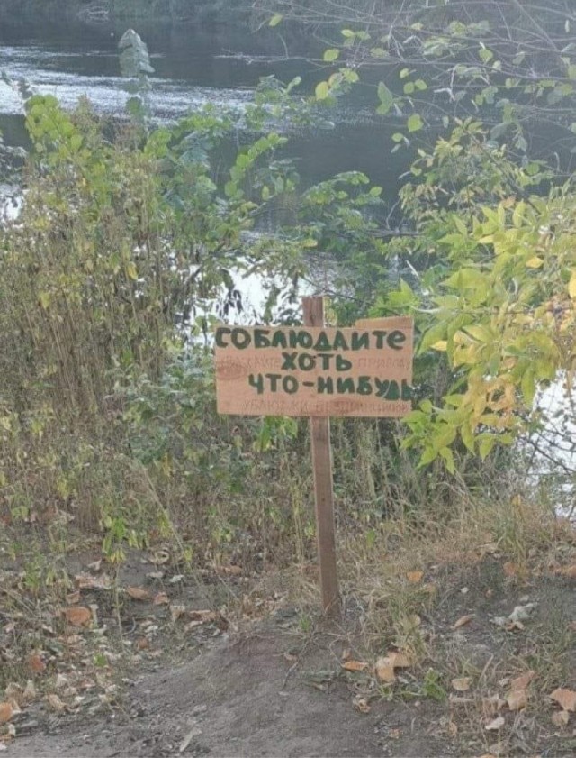 Картинки разные