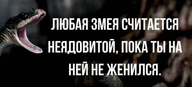 Пятница. И немного слегка пошлых картинок с надписями и без 16+ (27.11)