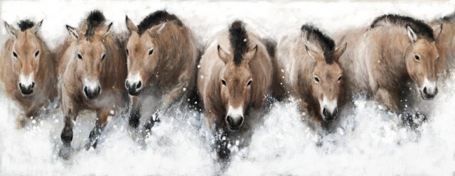 Рисунки Тома Бьёрклунда