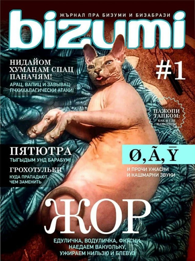 Немного разностей, шалостей и пушистостей