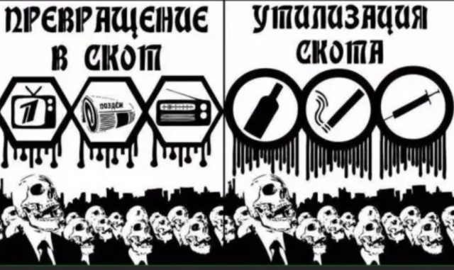 Бухаем дальше