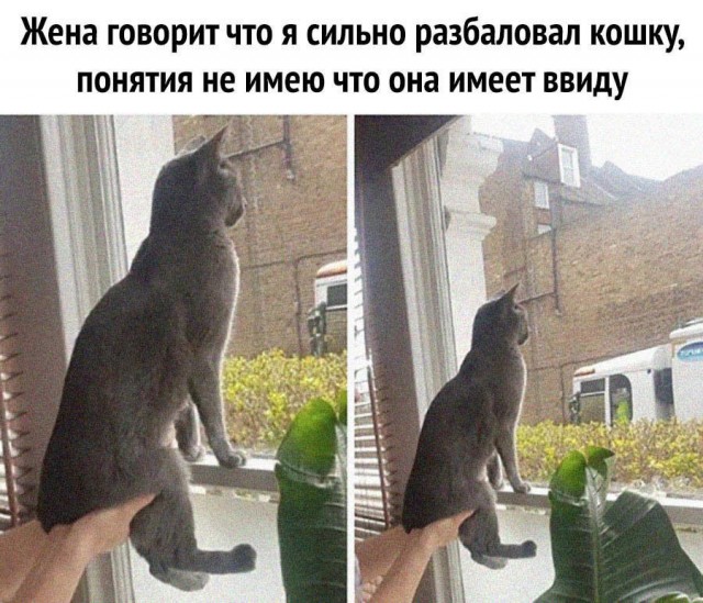 Так себе картинки 02.07.21
