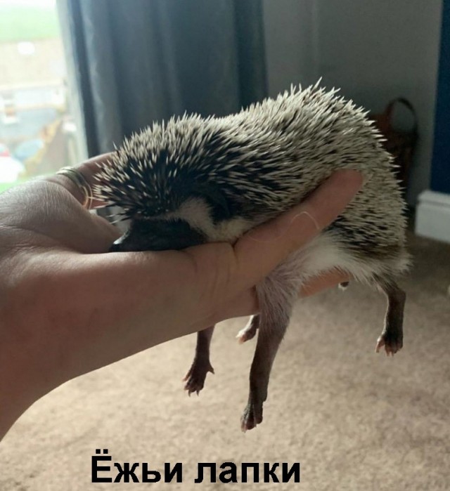 Так себе картинки 11.07.21
