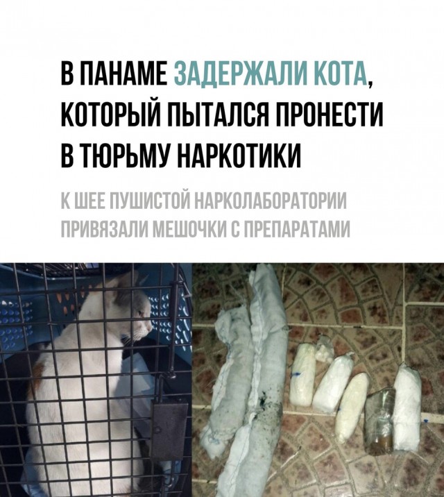 Так себе картинки 13.07.21
