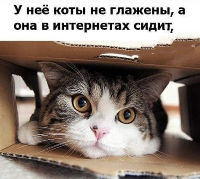 Картинки и мемы, всем прекрасных выходных