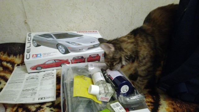 Котовторник 05.10.21 г