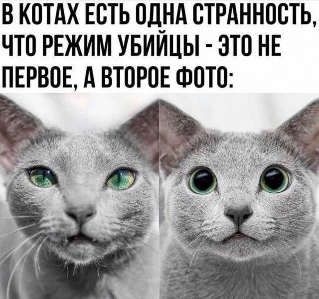 Чуток картинок 09.12.21