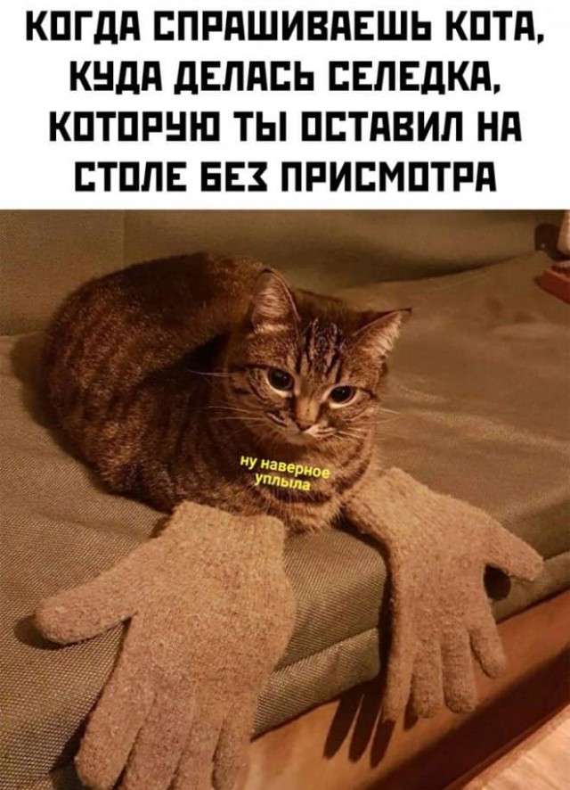 Баянисто-небаянистый юмор 13.01.22