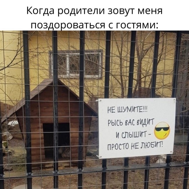 Так себе картинки 04.04.22