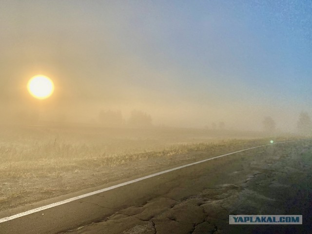 Фотки с телефона.