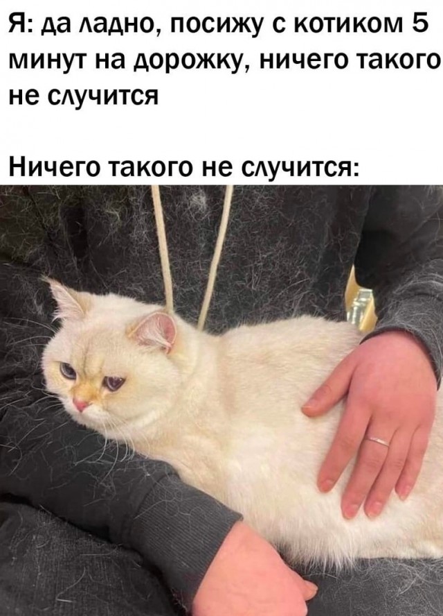 Так себе картинки 15.04.22