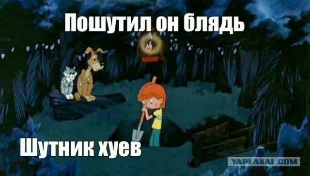 Ой дурак, совсем кукуха поехала