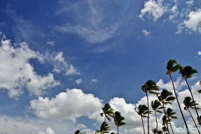 Путешествие по Северной Америке