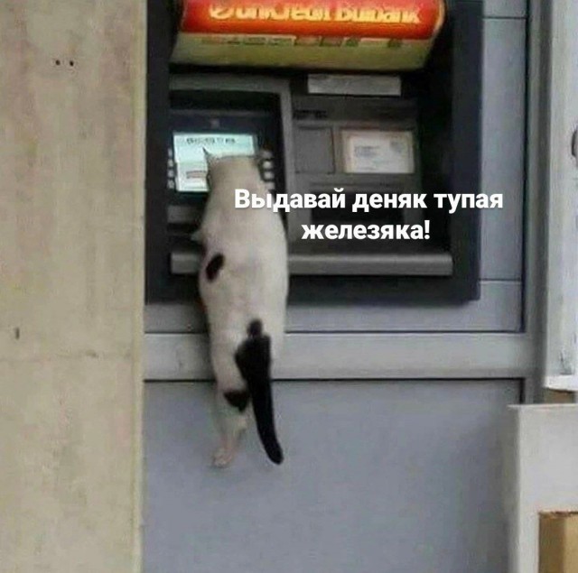 Картинки. Сборник без темы