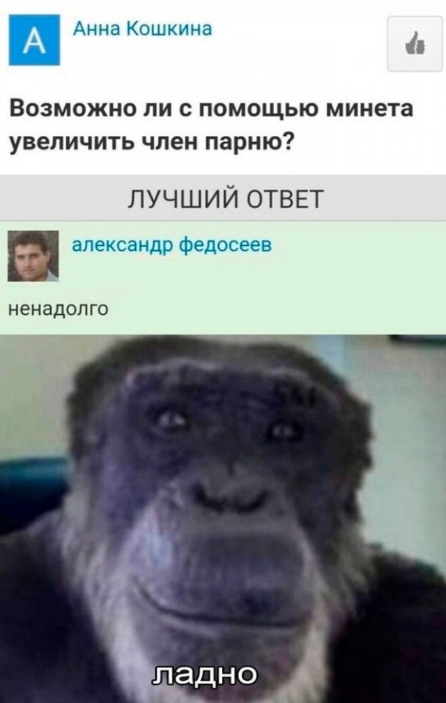 Картинки и мемы. Выходные близко...