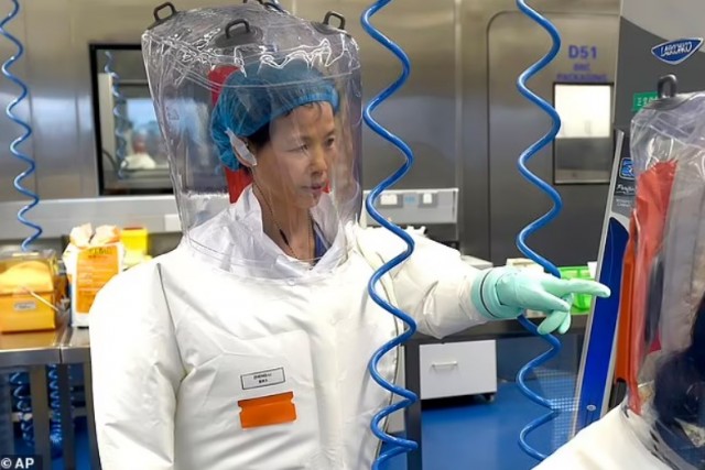 Доктор Эндрю Хафф: Пандемия COVID-19 результат финансирования США исследований коронавируса в Китае