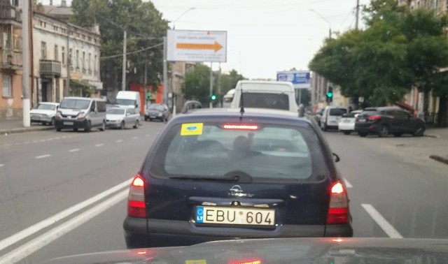 Собака-наБМВразъезжака