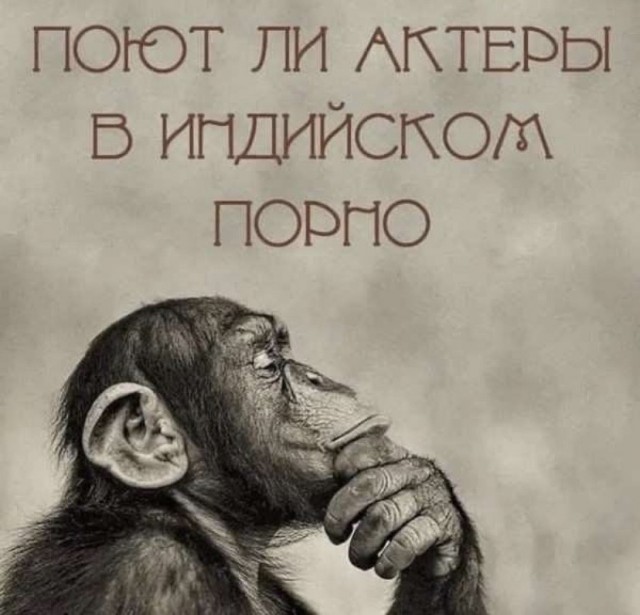А какой у Вас любимый фильм?