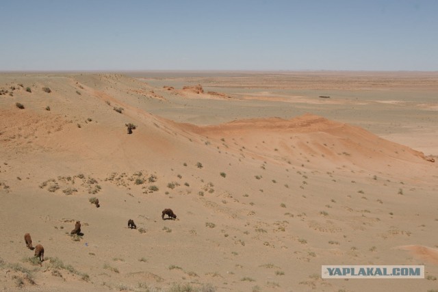 В Монголию на мотоциклах 2006