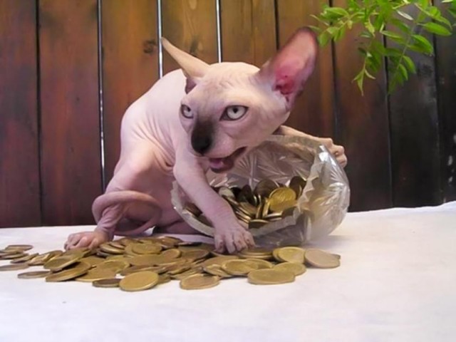Русский язык