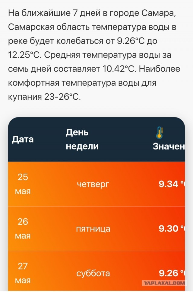 Чуток картинок 25.05.23